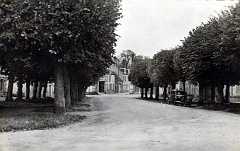 47 Saint Benoit Sur Loire Avenue de l Abbaye